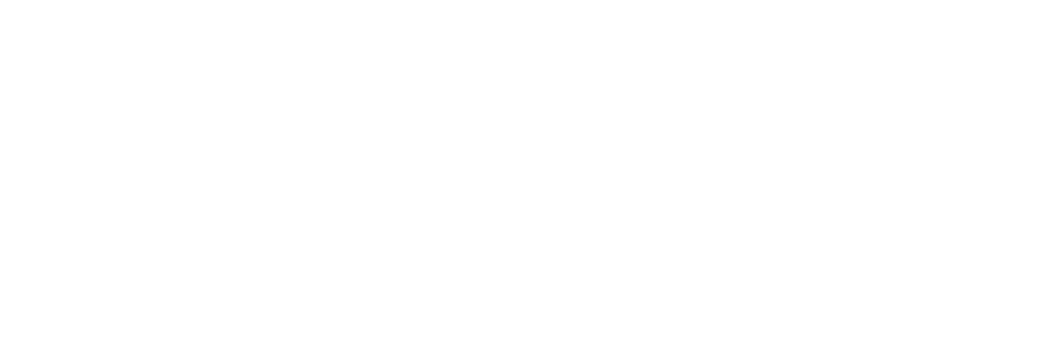 Reach North America Logo (reversed)